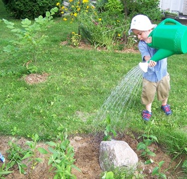 Comment faire un jardin de pluie à la maison?