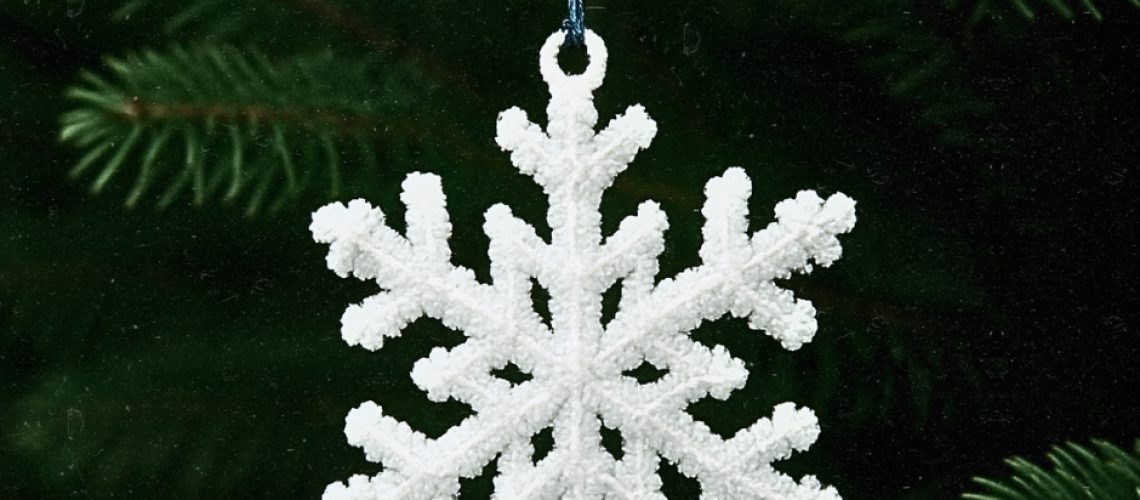 CristEAU2025cieau (1)